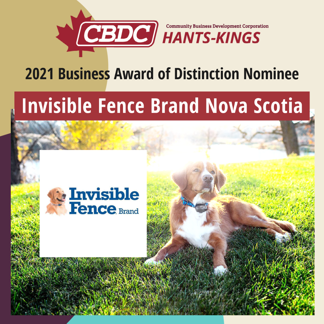 Invisible fence sales dealers near me